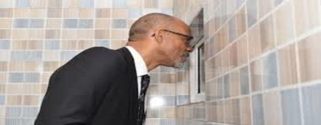 BREAKING: Italian who brought coronavirus to Nigeria now negative – Lagos