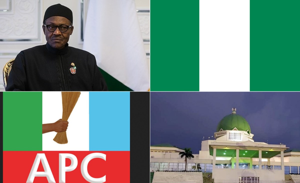 Read more about the article Nigeria: Certifying Patriotism, Empathy and Integrity