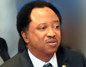 Read more about the article Court threatens to revoke Shehu Sani’s bail