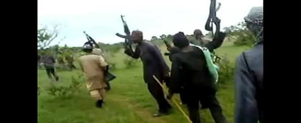 Cattle thieves kill 10 vigilantes in Zamfara ― Police