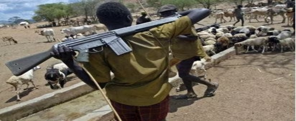 I was gang-raped by herdsmen, offered blood to drink as water — Kidnapped victim
