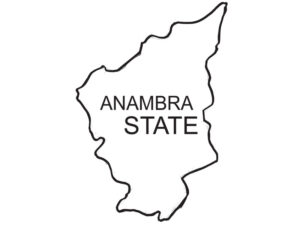 Read more about the article Anambra North Steps Up for Governorship in 2021