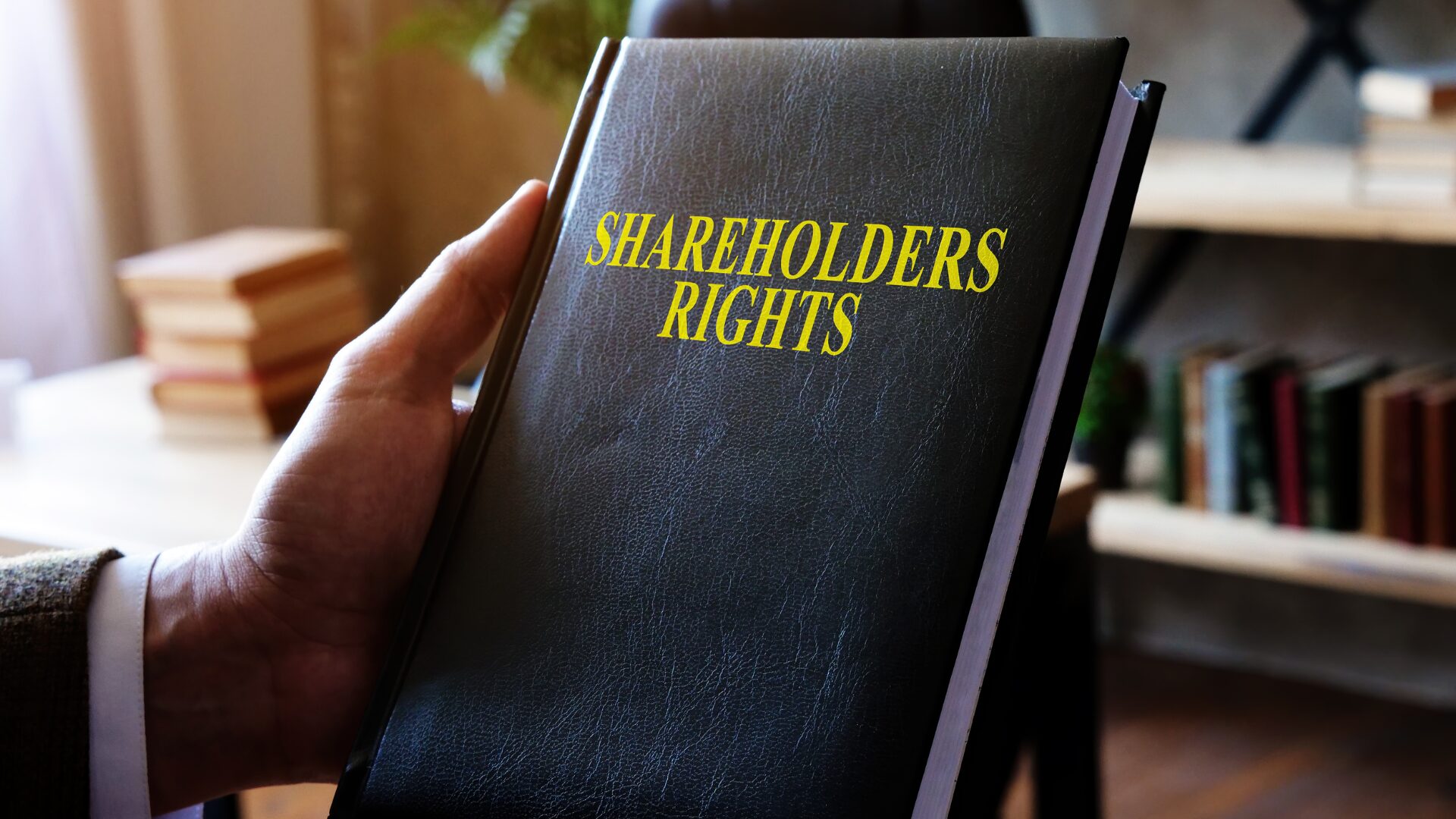 SHAREHOLDERS' RIGHTS